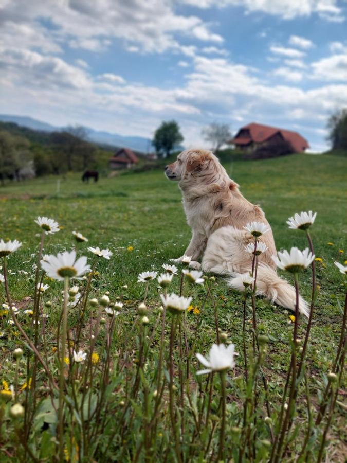 Masnec Tourist Farm Villa Miljana Bagian luar foto