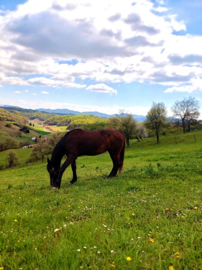 Masnec Tourist Farm Villa Miljana Bagian luar foto
