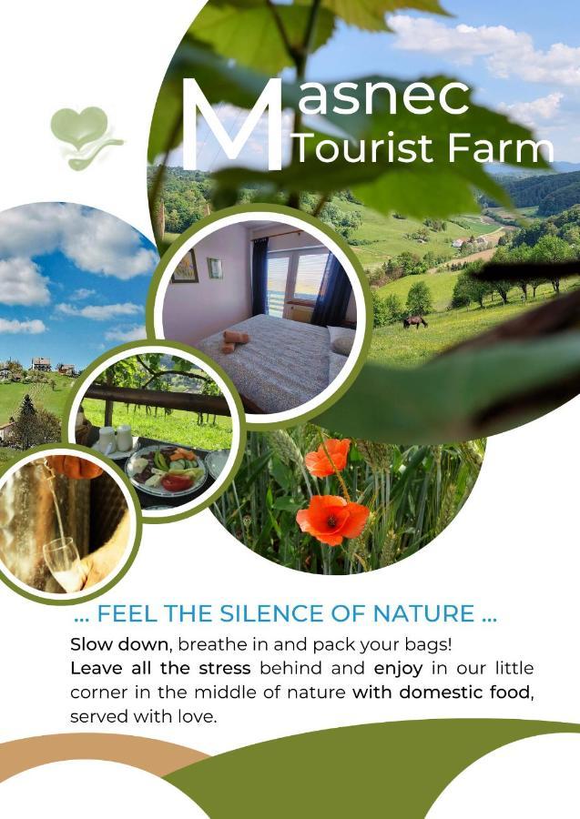 Masnec Tourist Farm Villa Miljana Bagian luar foto