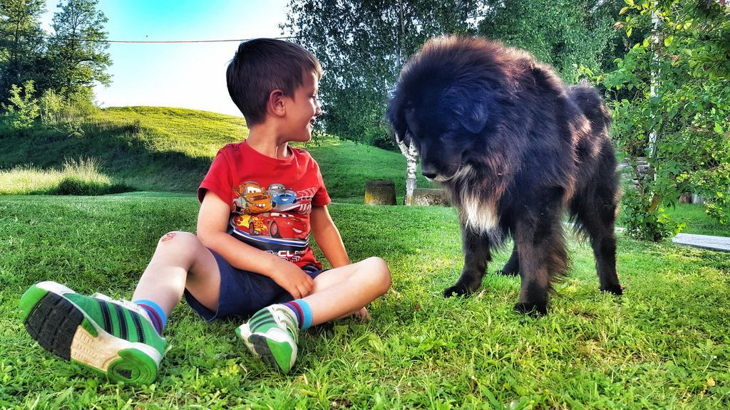 Masnec Tourist Farm Villa Miljana Bagian luar foto